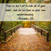 Bridge in autumn forest