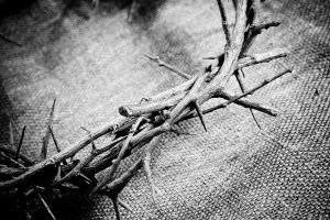 crown of thorns